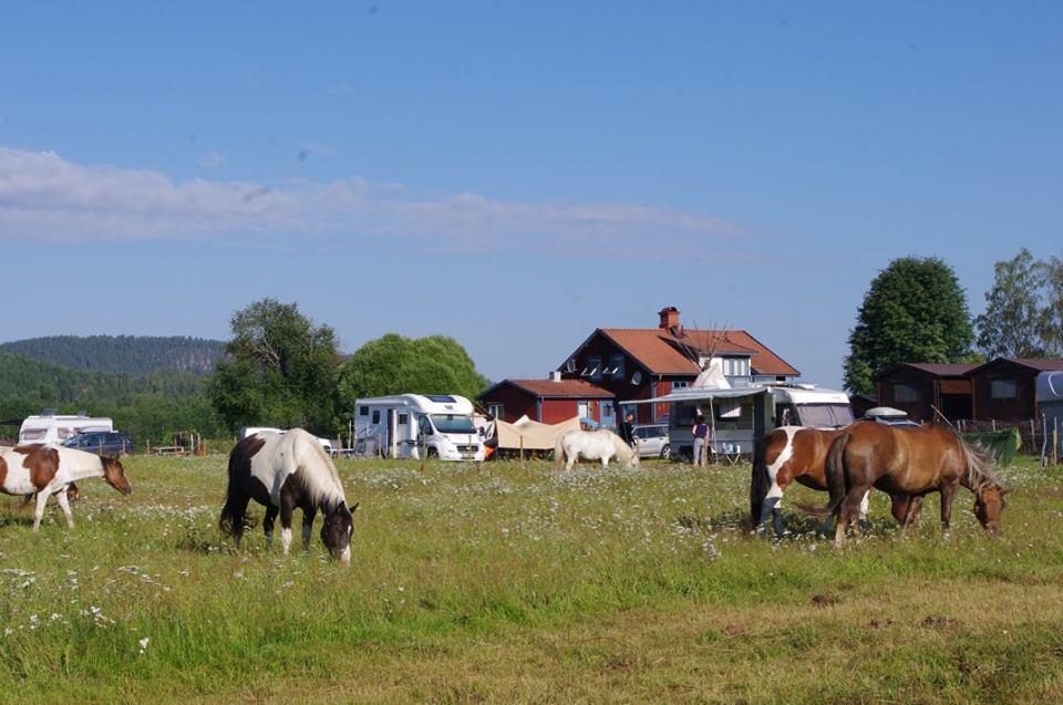 Sun Dance Ranch Bed and Breakfast Ekshärad Exteriör bild